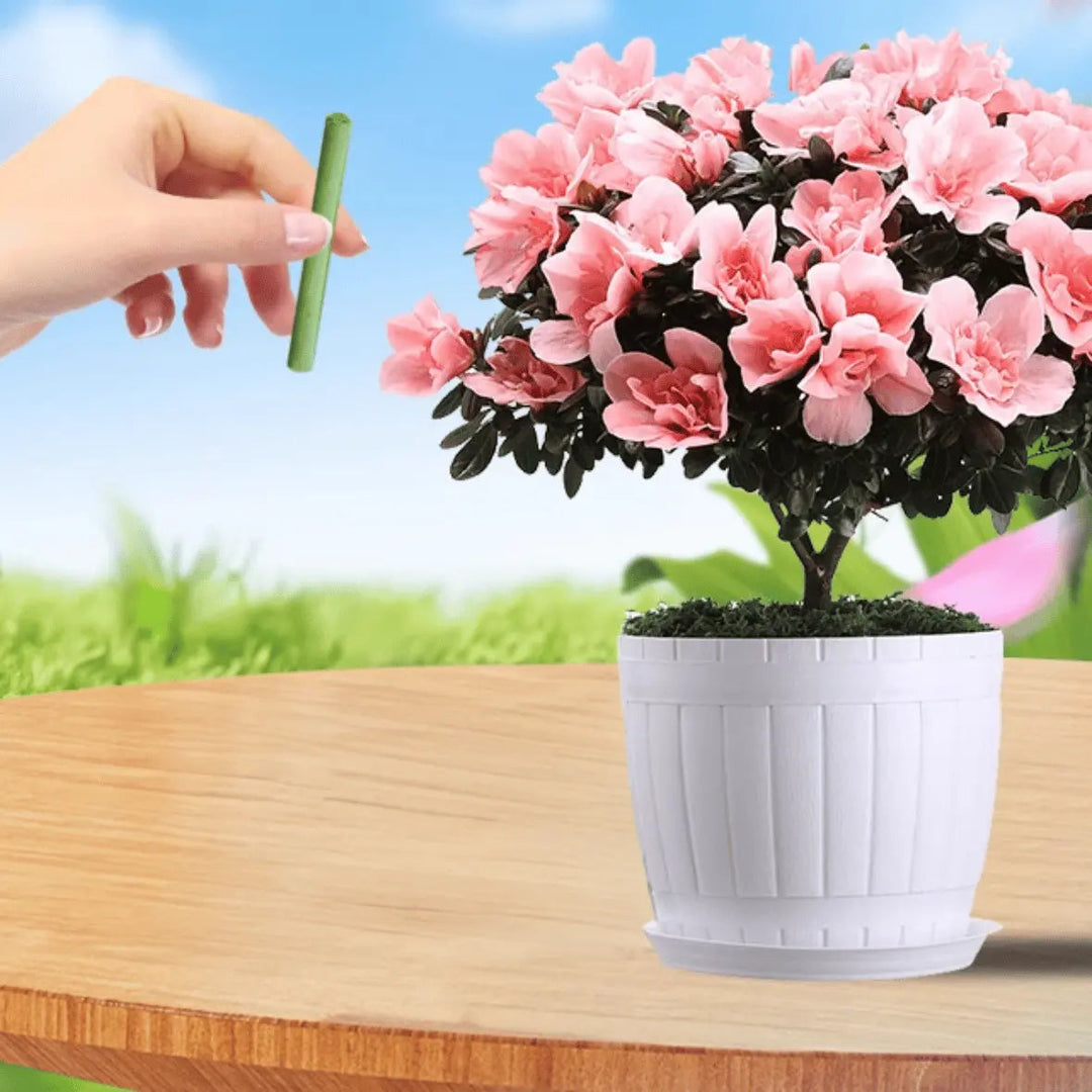 BowLift | Easy-to-use plant nutrient sticks for vibrant growth