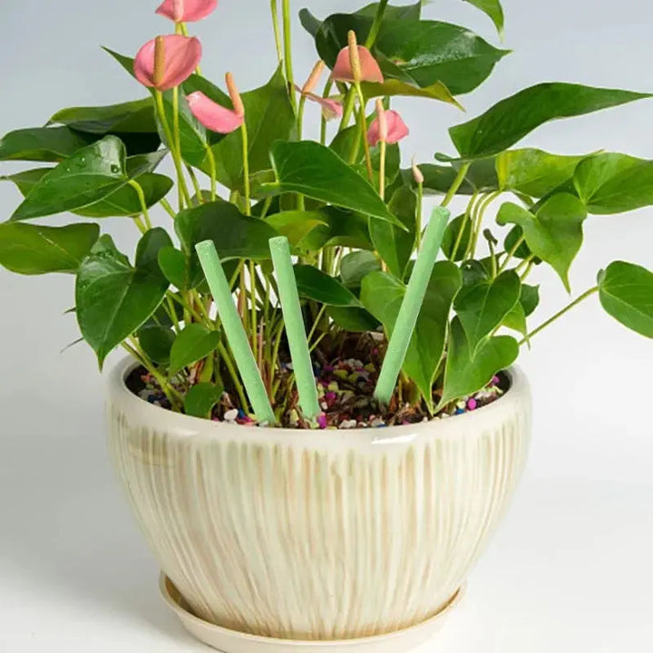 BowLift | Easy-to-use plant nutrient sticks for vibrant growth
