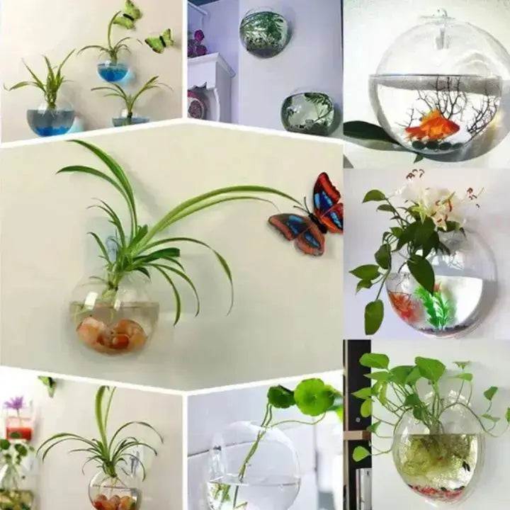 BowLift | Elegant Glass Wall Vases – For Cuttings & Decor
