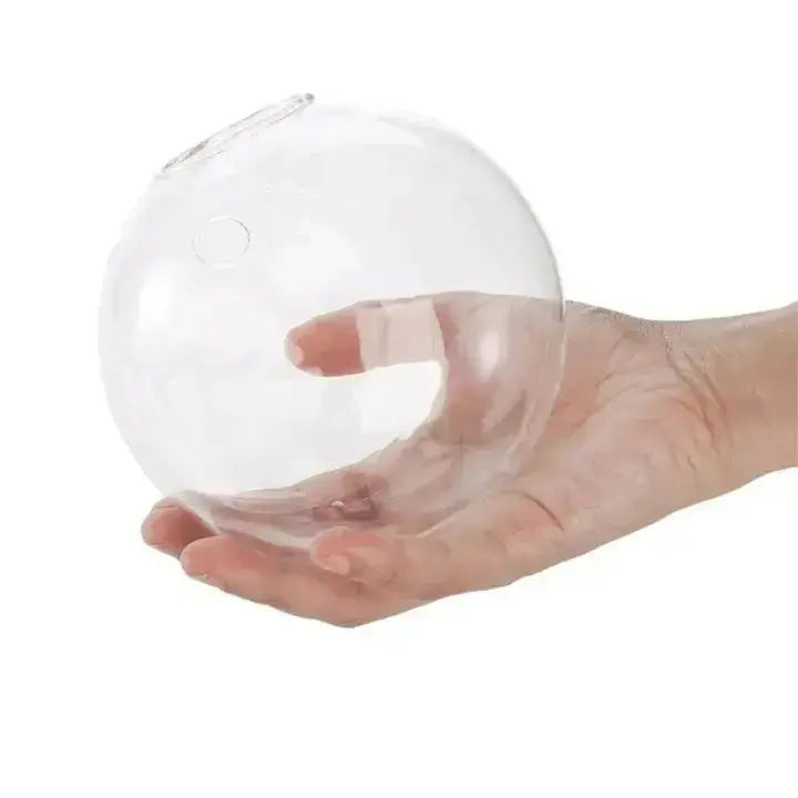 BowLift | Elegant Glass Wall Vases – For Cuttings & Decor