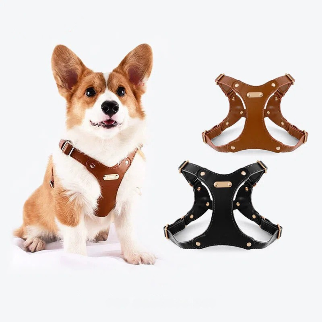 Adjustable Leather Dog Harness with Custom Engraving Bowlift