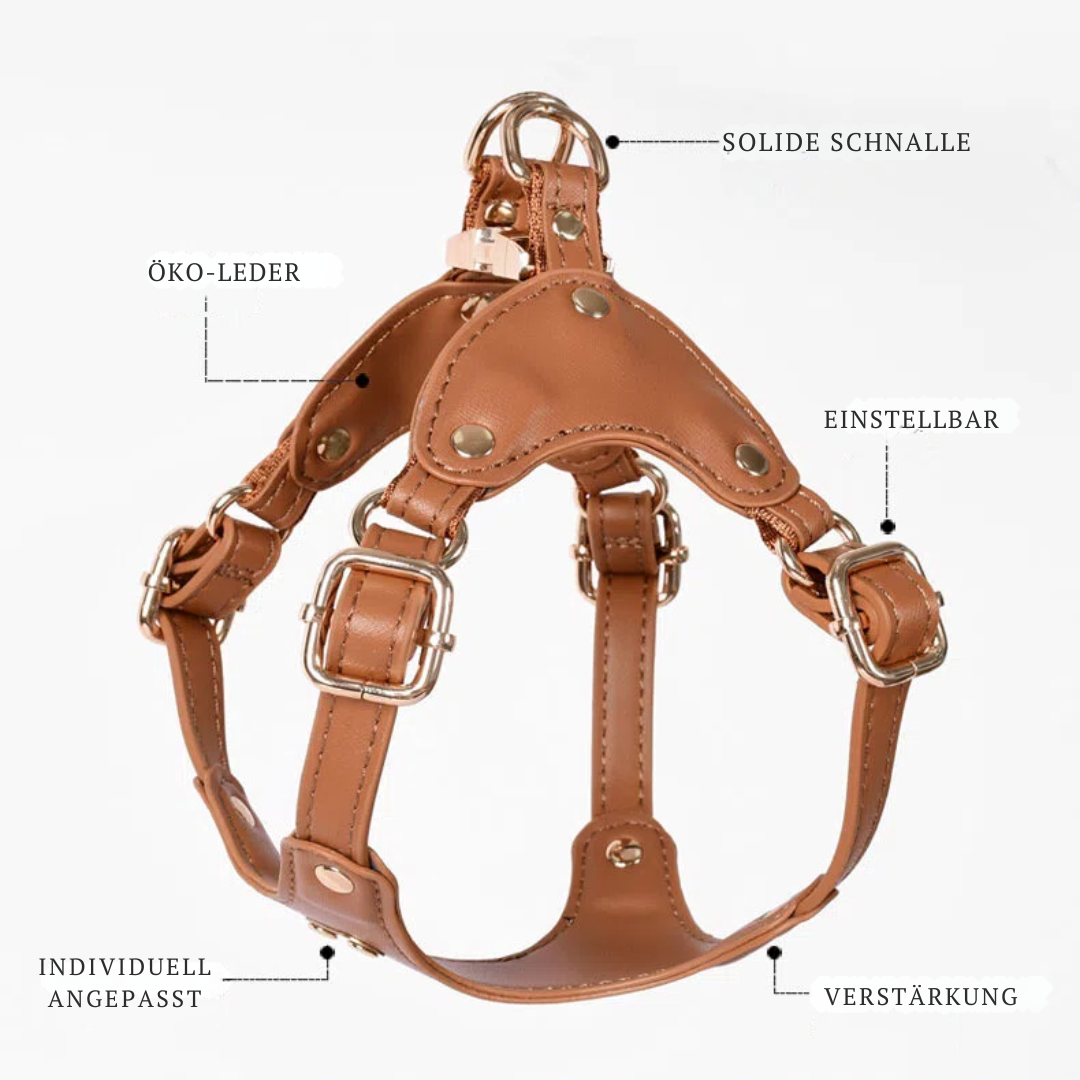 Adjustable Leather Dog Harness with Custom Engraving Bowlift