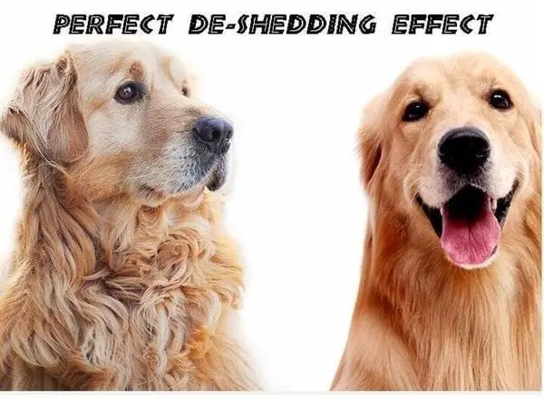 BowLift | De-shedding comb for pets – gentle & thorough for undercoat