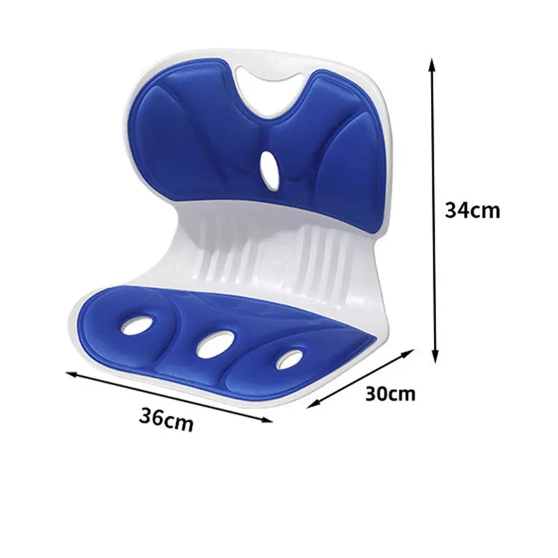 BowLift | Ergonomic Lumbar Support Cushion