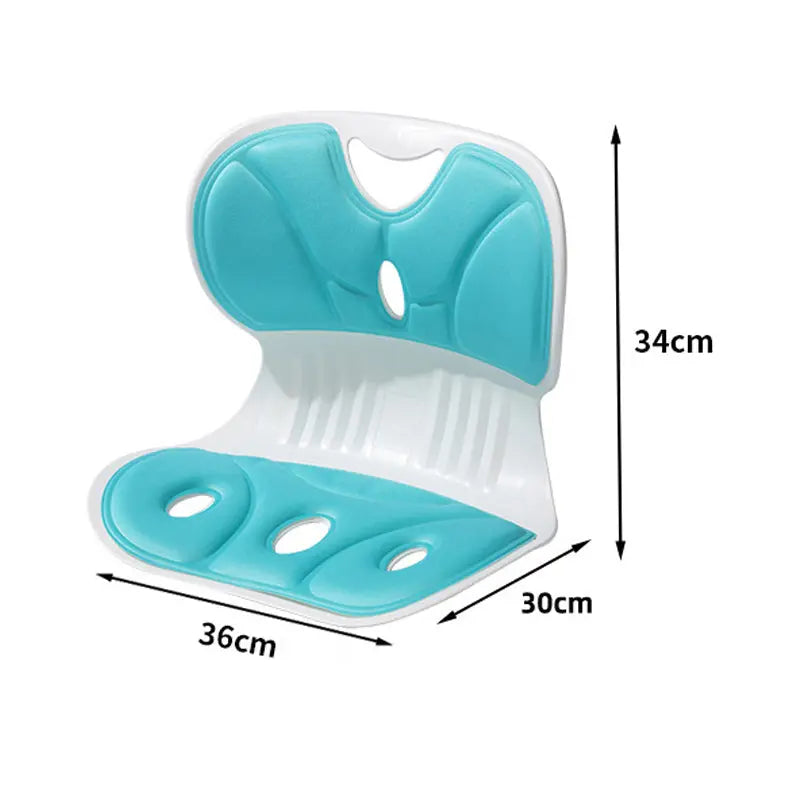 BowLift | Ergonomic Lumbar Support Cushion