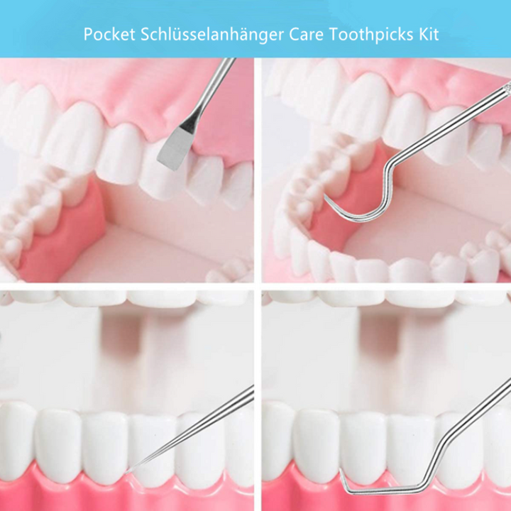 BowLift | Toothpick set made of stainless steel (7 pcs)