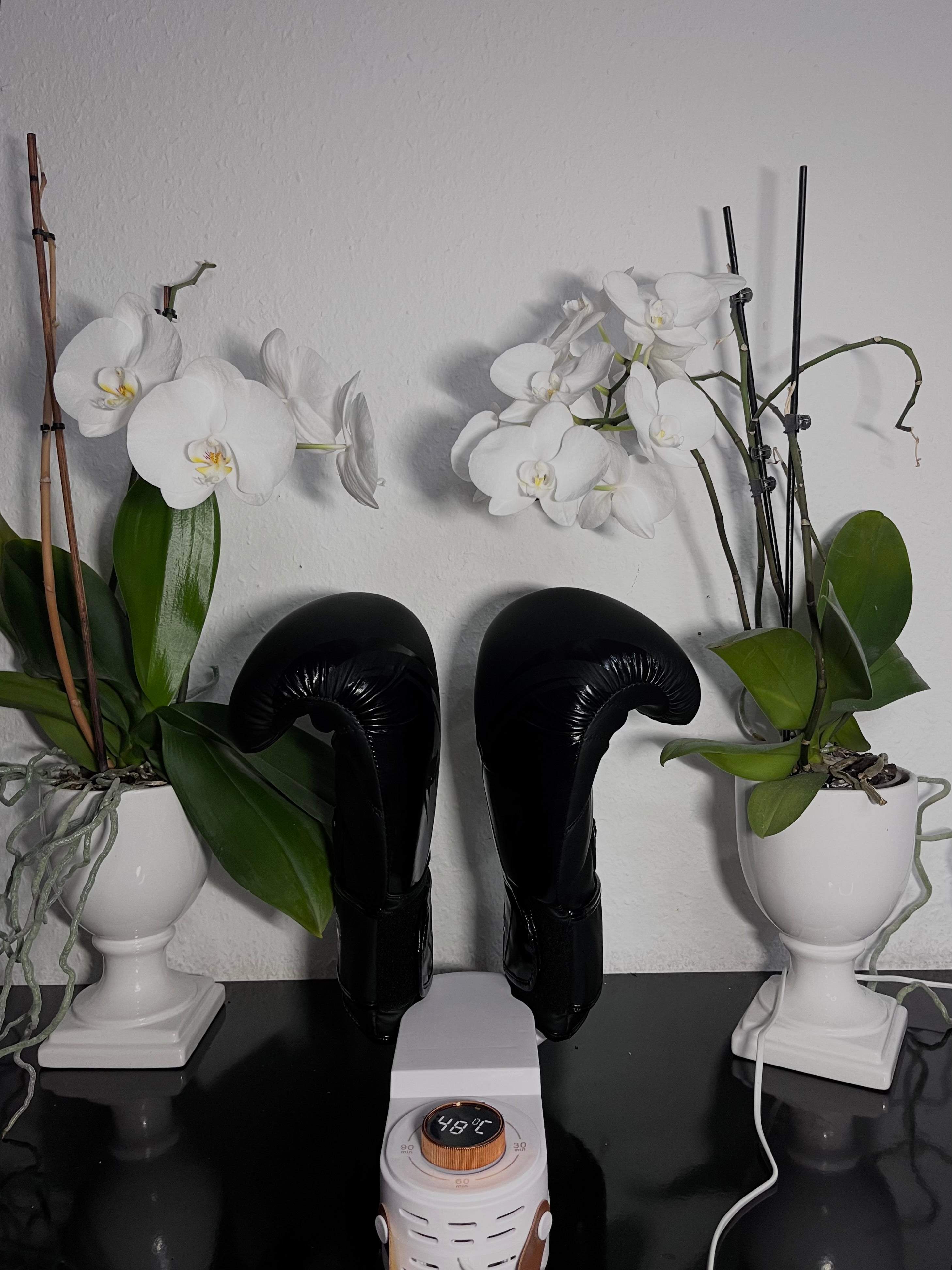 BowLift | DryKick Hygienic Shoe Solution