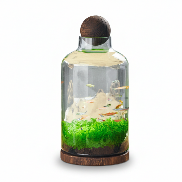 BowLift | Micro Aquarium Compact Glass Ecological Fish Tank