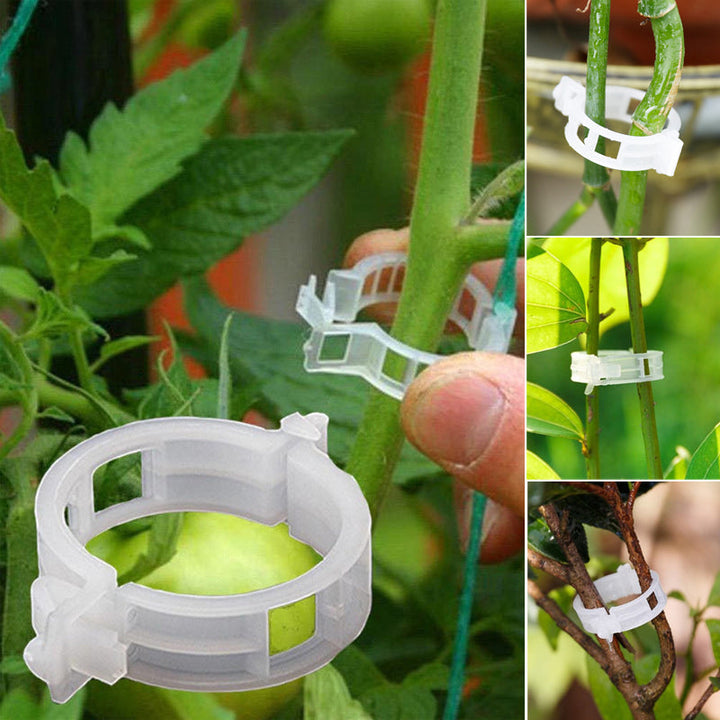 BowLift | Practical Plant Support Clip