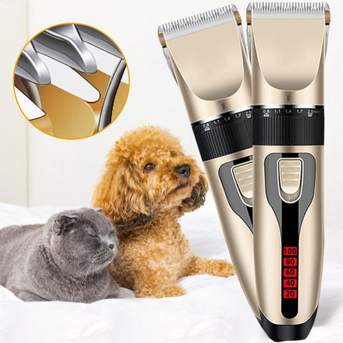 Professional Pet Grooming Set | Bowlift