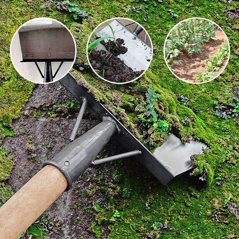 Multifunctional cleaning scoop | Bowlift