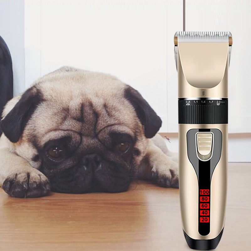 Professional Pet Grooming Set | Bowlift