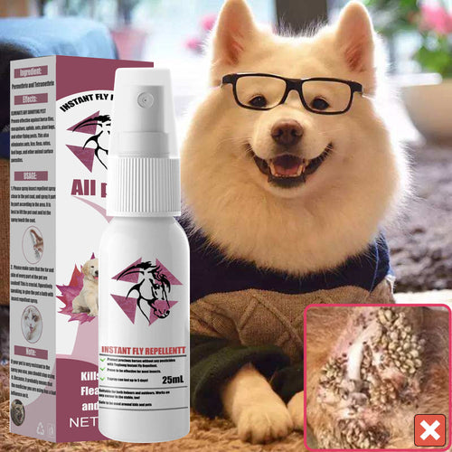 BowLift | Instant Equine Insect Repellent
