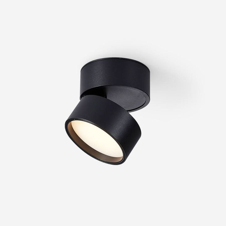 BowLift | Adjustable Surface LED Ceiling Light Warm White