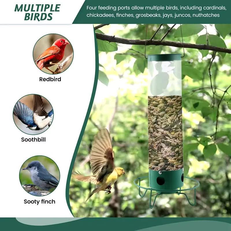 BowLift | Squirrel-proof birdhouse with rotating perch & 4 feeding openings