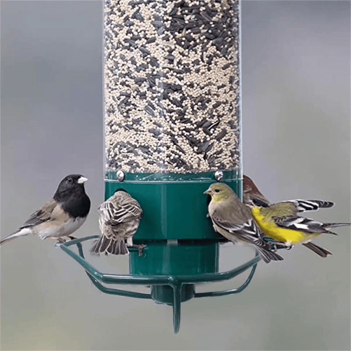 BowLift | Squirrel-proof birdhouse with rotating perch & 4 feeding openings