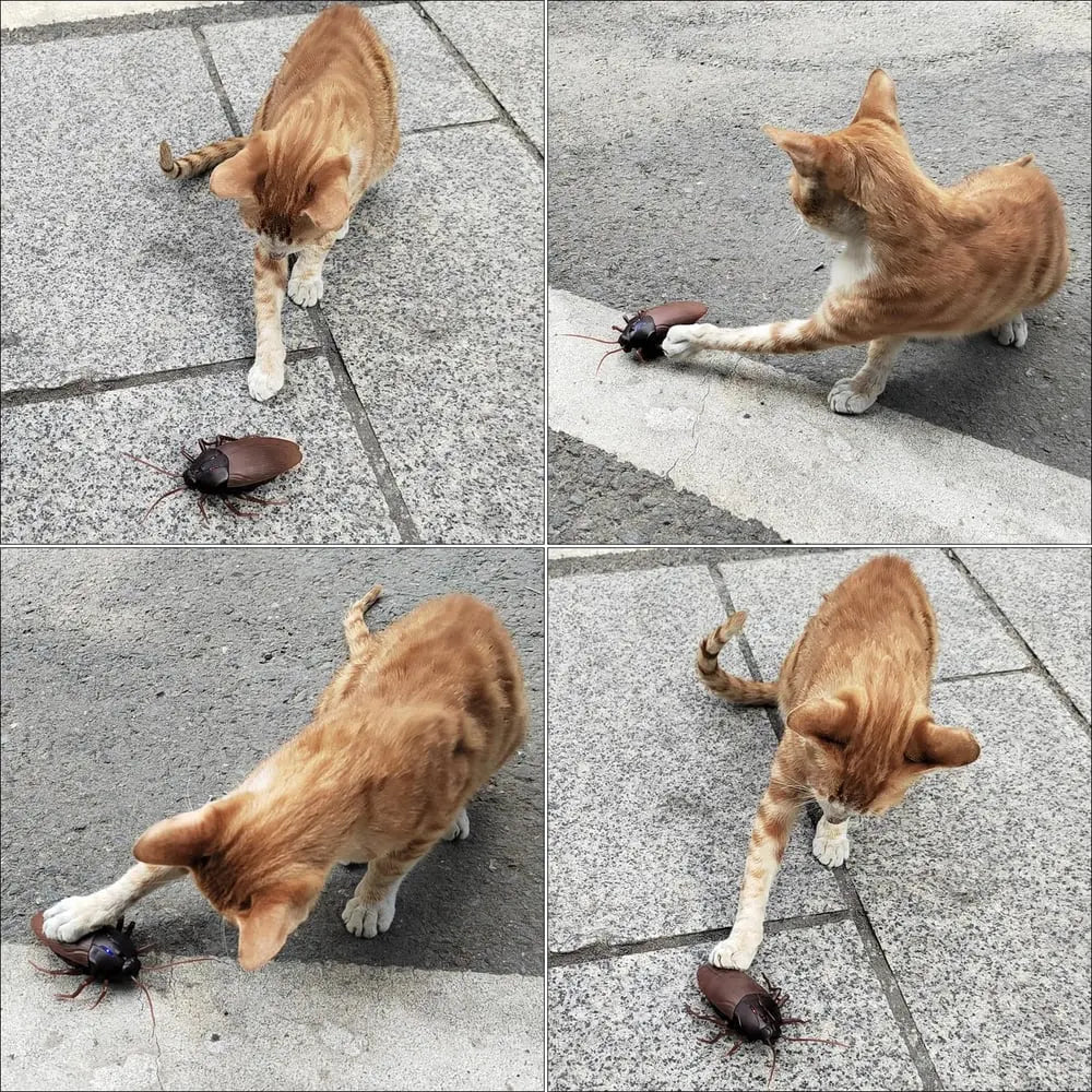 BowLift | Remote-controlled Cockroach – Realistic Crawling Effect with Glowing Eyes