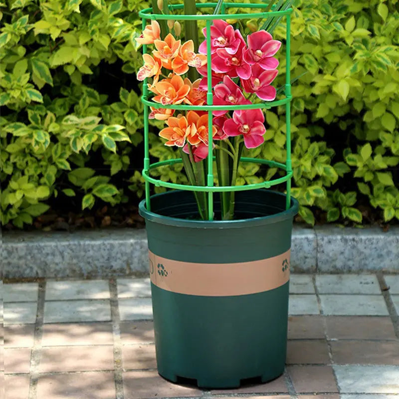 BowLift | Flexible Plant Support Frame — Weatherproof Garden Support with Tool-Free Assembly