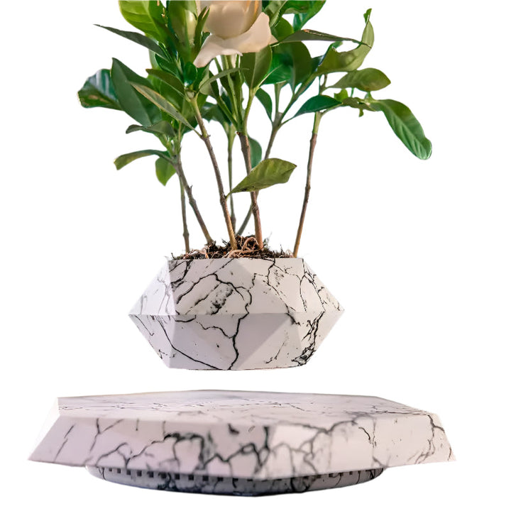 GeoSpin rotating geometric plant box Bowlift