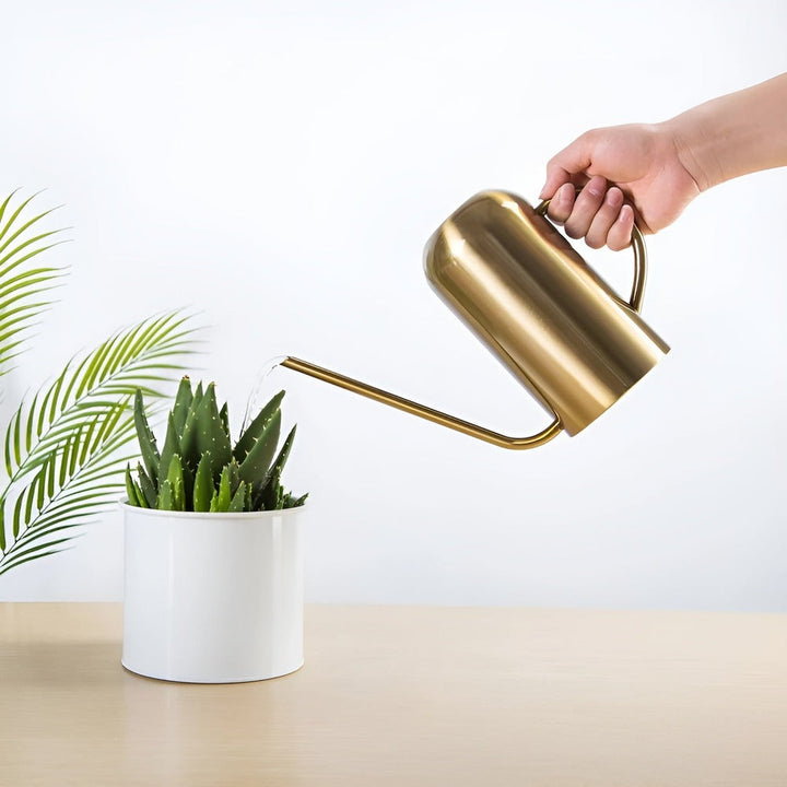 BowLift | Fluora – 1.5L Stainless Steel Watering Can with Long Spout