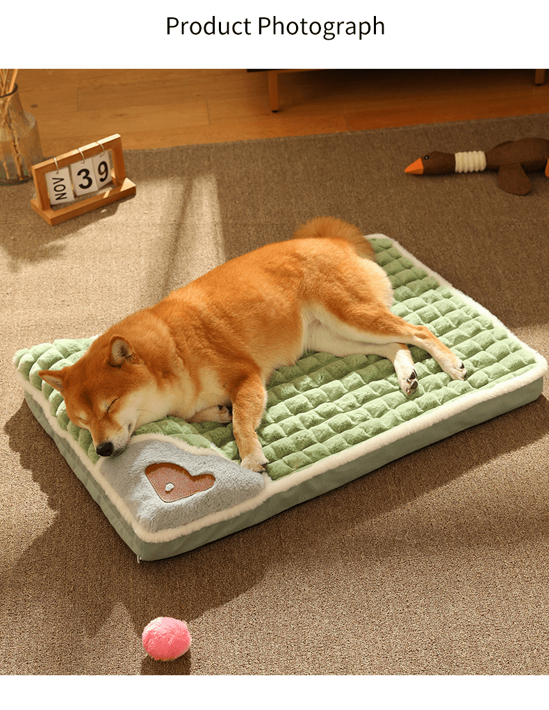 BowLift | LUXEPLUSH – Fluffy Premium Dog Bed for Small & Medium Dogs