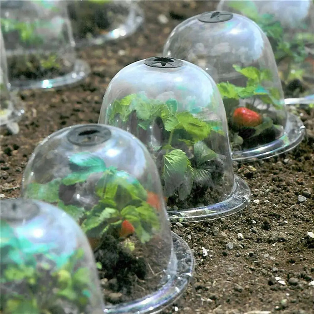 Frost Protection Clear Garden Plant Cover | Bowlift