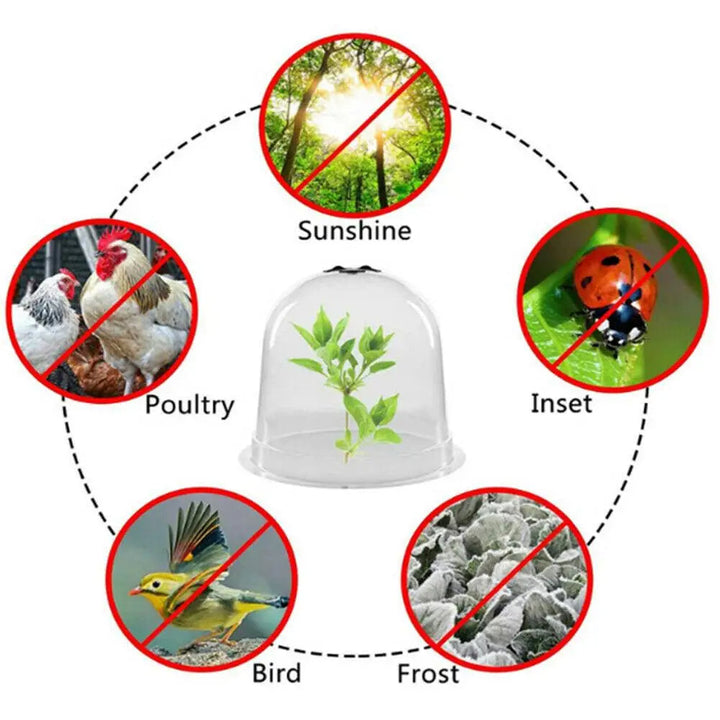 Frost Protection Clear Garden Plant Cover | Bowlift