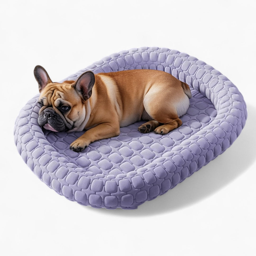 FrostiPad French Bulldog Summer Bed – Non-slip Ice Silk Orthopedic Mat | Bowlift