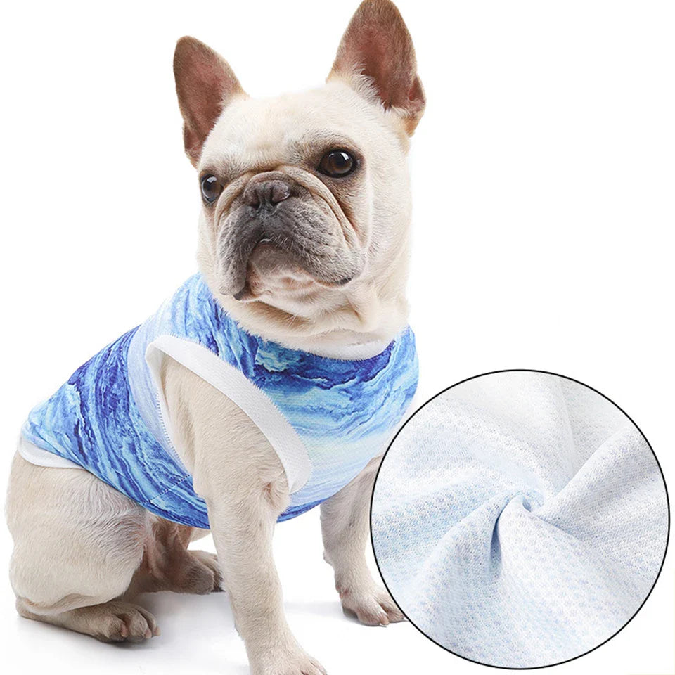 FrostyPet Frenchie Summer Cooling Vest | Bowlift