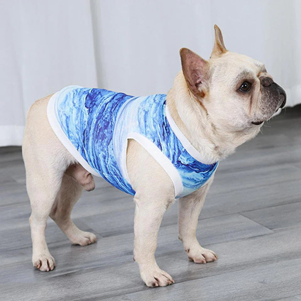 FrostyPet Frenchie Summer Cooling Vest | Bowlift
