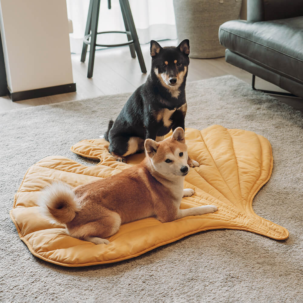 BowLift | Dog Blanket Mat for Large Pets
