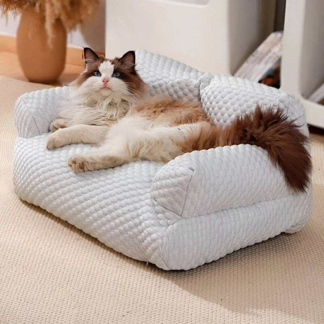 Washable Plush Cushion Bed for Pets - SnuggleNest Bowlift