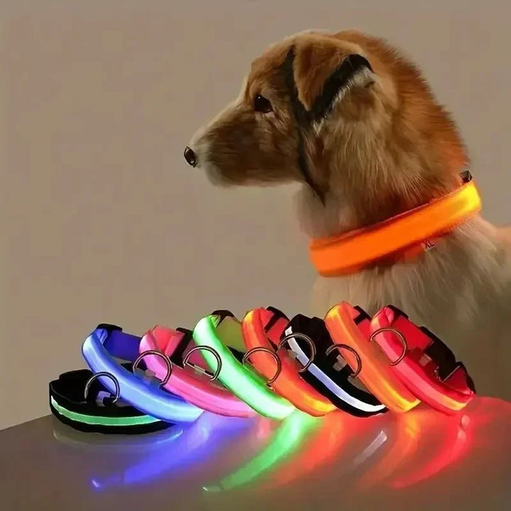 BowLift | LED Safety Dog Collar with Adjustable Fit