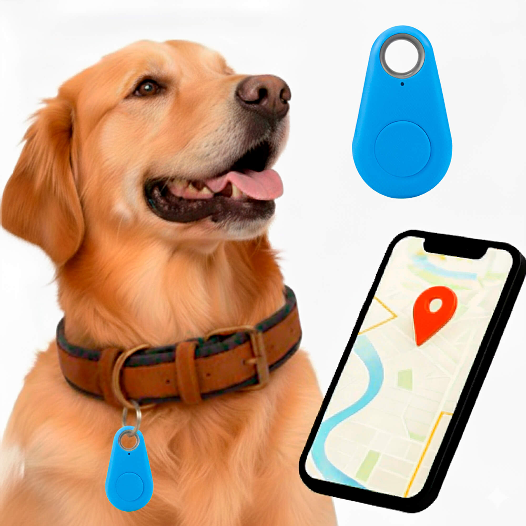 BowLift | GPS Dog Tracker | Waterproof, Real-Time Location & Safety Zone Alerts for Outdoor Adventures