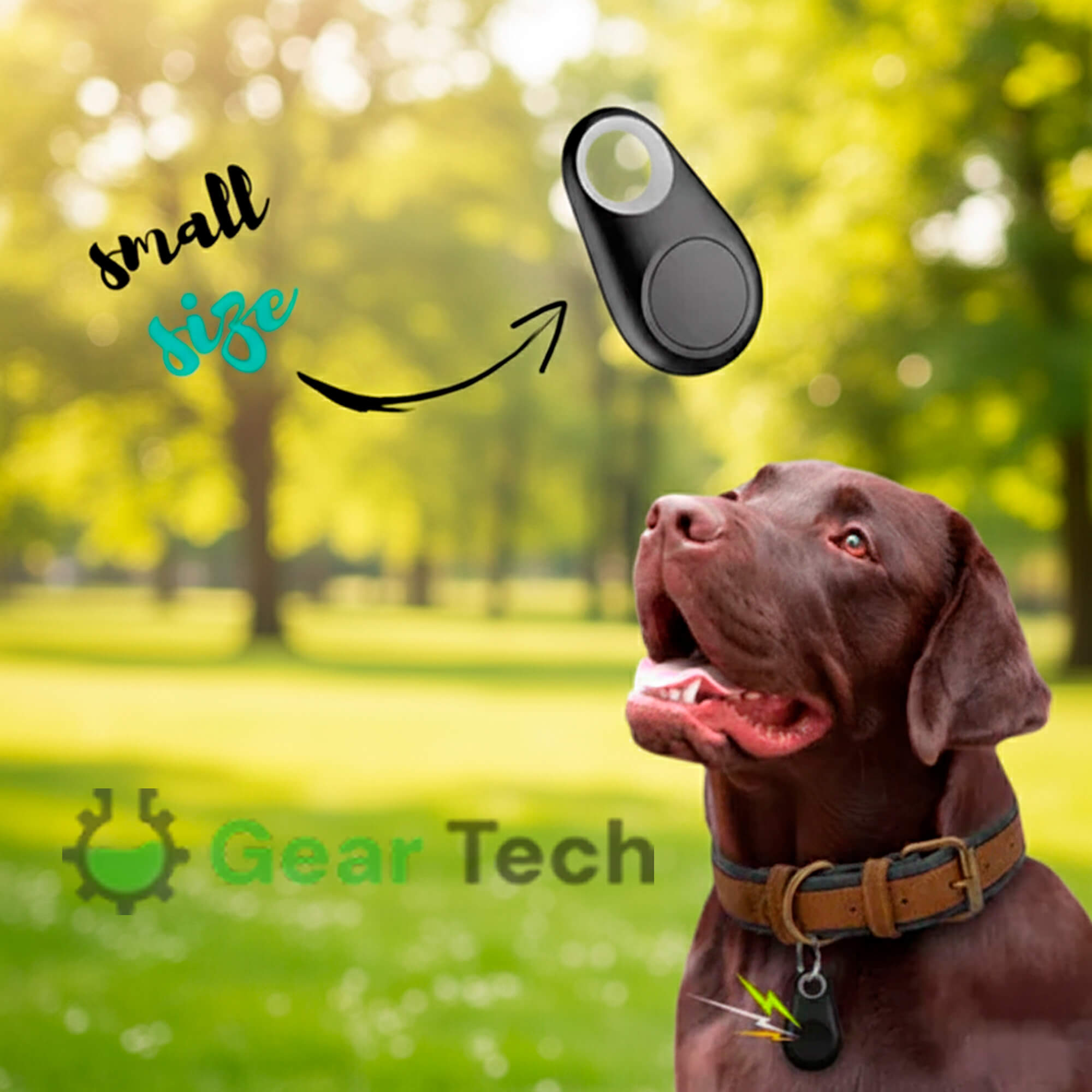 BowLift | GPS Dog Tracker | Waterproof, Real-Time Location & Safety Zone Alerts for Outdoor Adventures