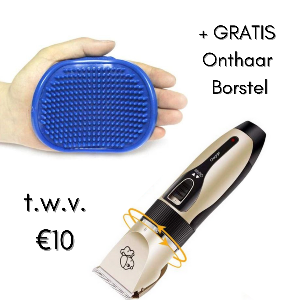 Professional Dog Groomer + Brush Bowlift