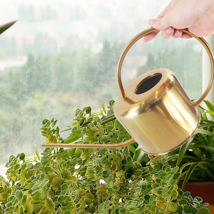 BowLift | Elliptical Watering Can