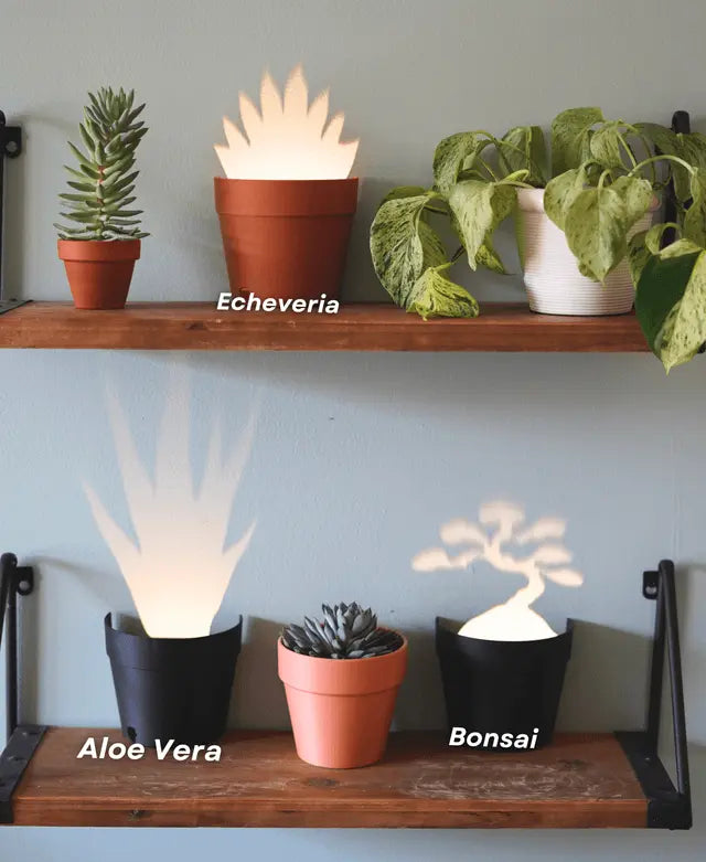 BowLift | Garden-Graveyard-Plant Pot with LED Light Projection