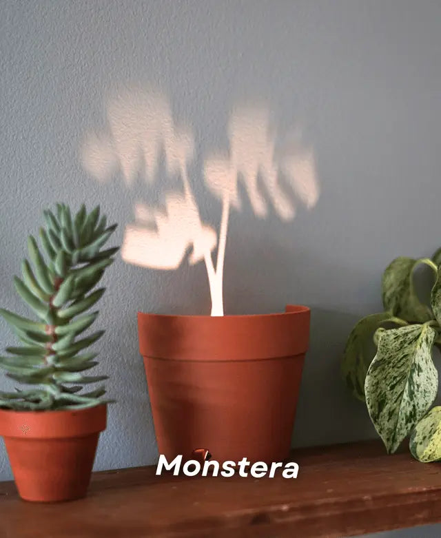 BowLift | Garden-Graveyard-Plant Pot with LED Light Projection