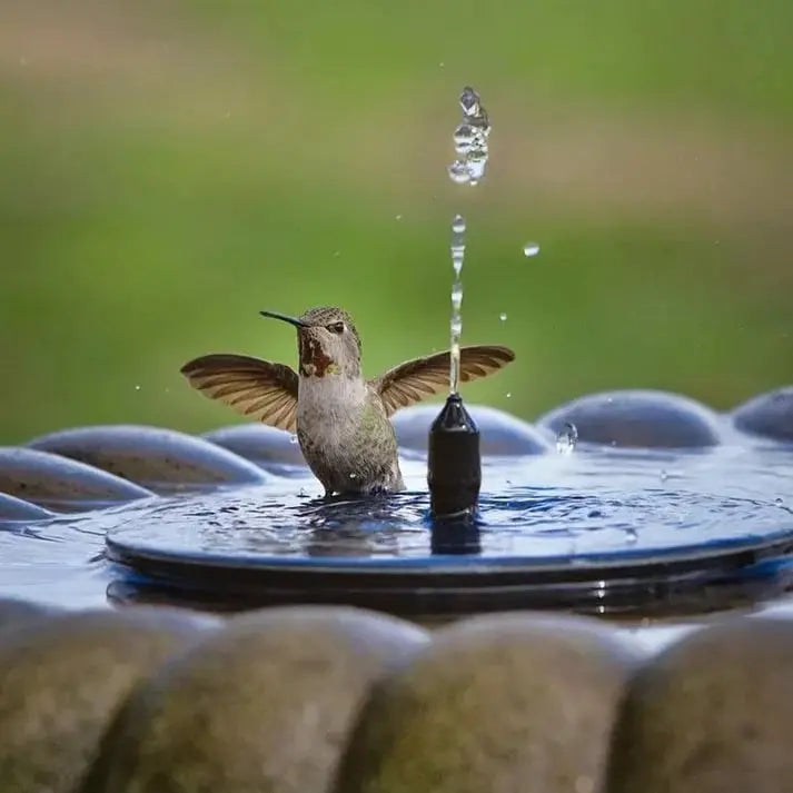 BowLift | Solar-powered garden fountain – Beautiful ambiance without electricity