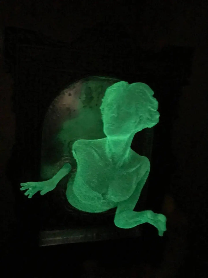 BowLift | Spirit in the Mirror – Shining 3D wall decoration made of resin for mysterious spaces