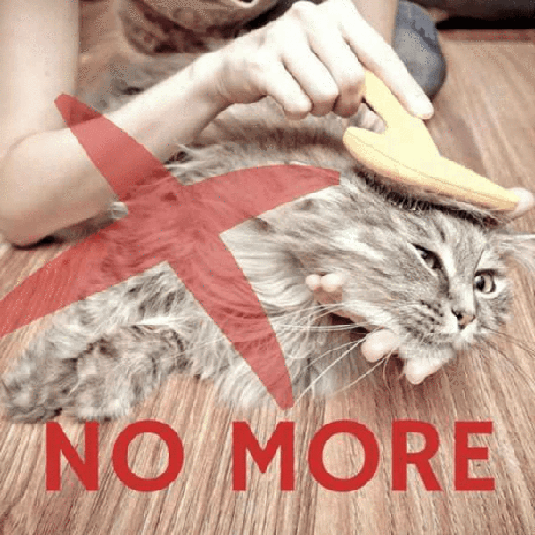 BowLift | Gentle Deshedding Glove