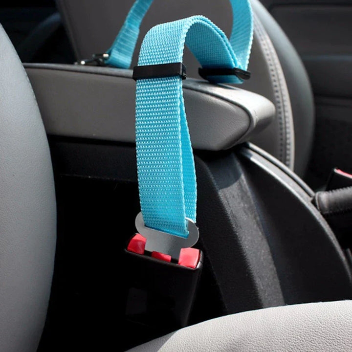 Safety seatbelt for Pets Bowlift