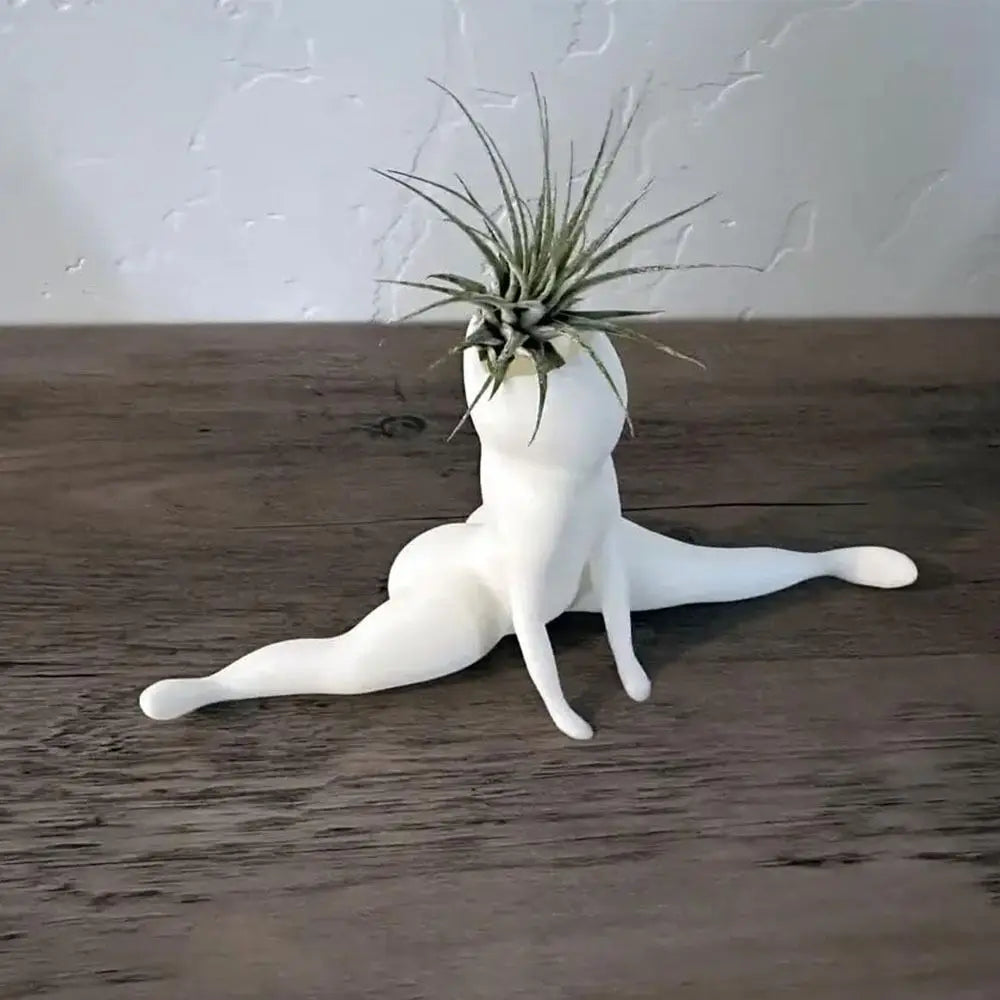 BowLift | Spooky Shape Air Plant Display - SpookyBuddy
