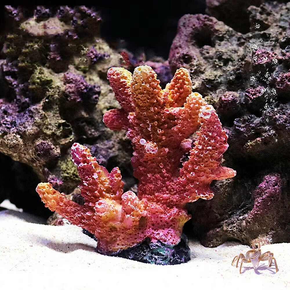 BowLift | Vibrant Resin Coral Reef Decor for Aquariums