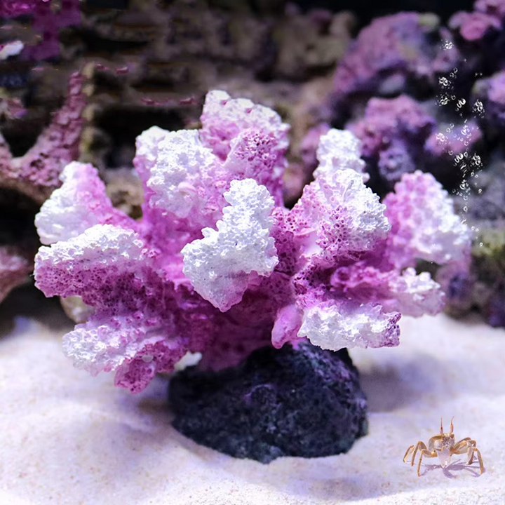 BowLift | Vibrant Resin Coral Reef Decor for Aquariums