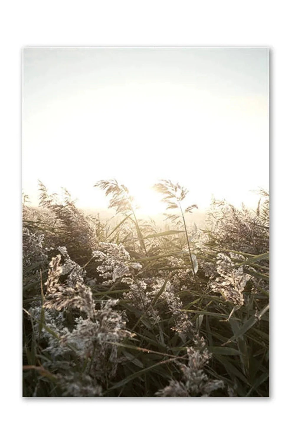 Academy Nordic Nature Canvas Poster | Bowlift
