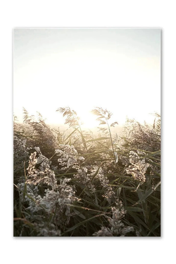 Academy Nordic Nature Canvas Poster | Bowlift
