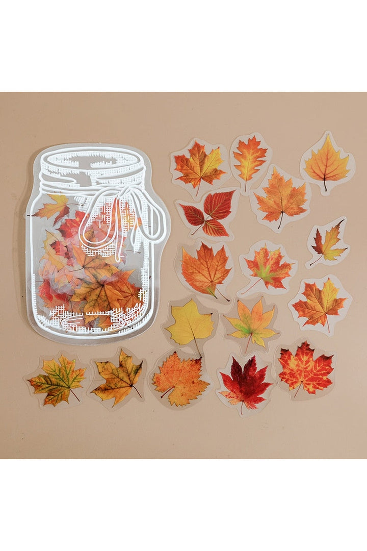Beauty Bottle Scrapbooking Stickers | Bowlift