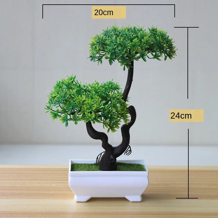 BowLift | Small Tree Pot Bonsai Plants